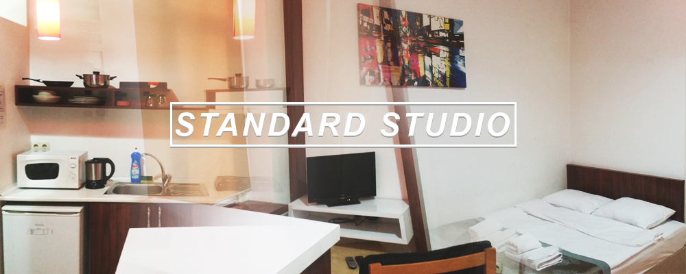 Standard Studio is a small room with kitchen and bathroom.